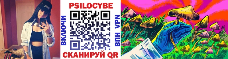 купить наркотики цена  Павловский Посад  Псилоцибиновые грибы ЛСД 